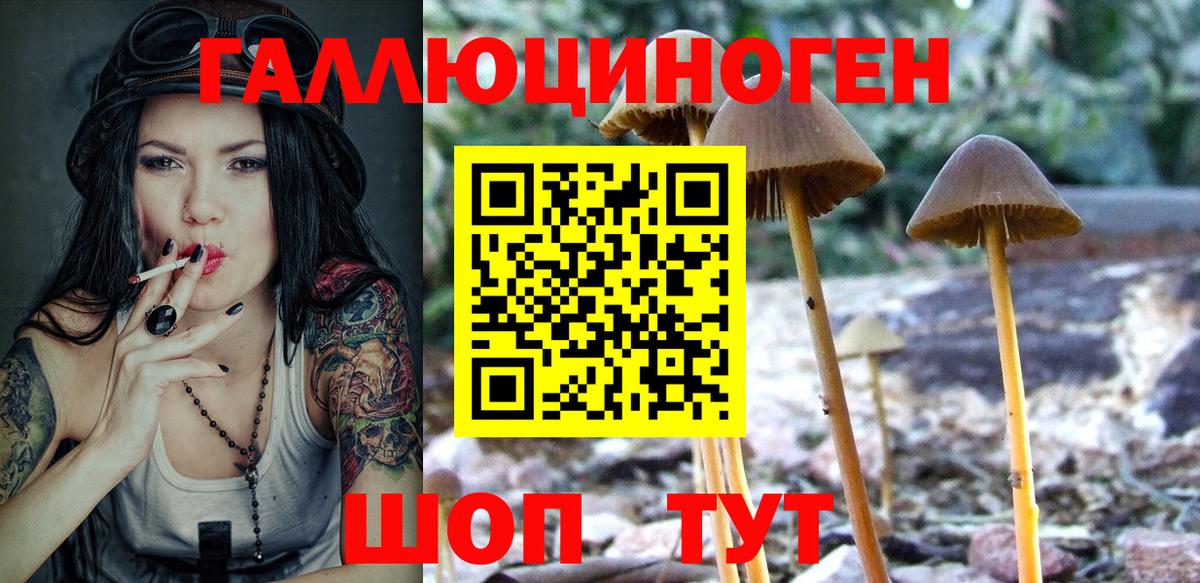 Кызыл  Галлюциногенные грибы Psilocybe  Псилоцибиновые грибы GOLDEN TEACHER  Вход с VPN 
