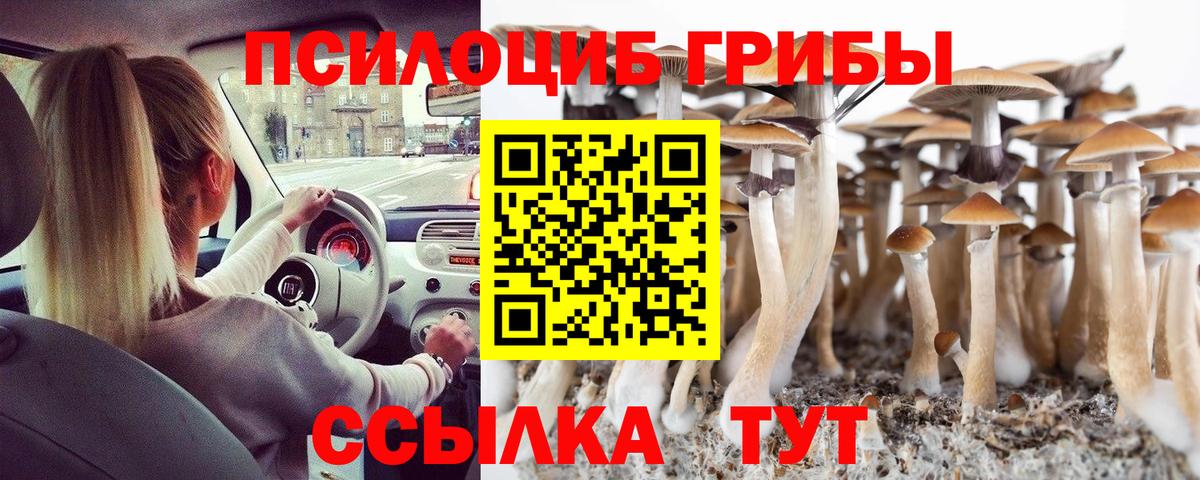 Галлюциногенные грибы мицелий Кызыл